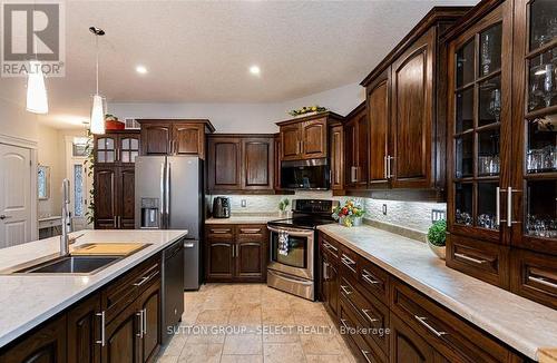377 Darcy Drive, Strathroy-Caradoc, ON - Indoor Photo Showing Kitchen
