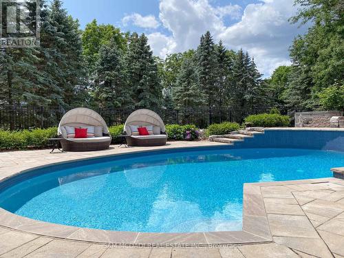 3 Huttonville Drive, Brampton, ON - Outdoor With In Ground Pool With Backyard