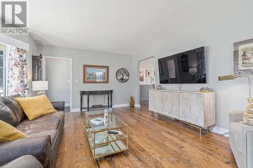 284 Maple Ave N, Halton Hills, ON - Indoor Photo Showing Living Room