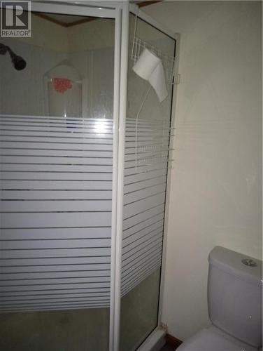 shower - 61 River Lane, Madawaska, ON - Indoor Photo Showing Bathroom