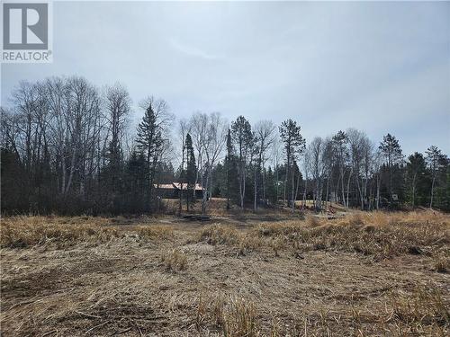 Looking from the waters edge in mid April - 61 River Lane, Madawaska, ON - Outdoor With View