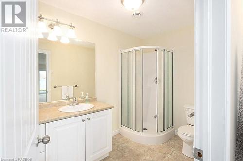 115 South Shores Road, Grey Highlands, ON - Indoor Photo Showing Bathroom