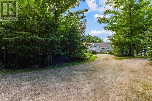 115 South Shores Road, Grey Highlands, ON - Outdoor