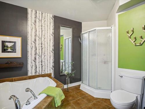 Salle de bains - 202-235 Rue Bohémier, Mascouche, QC - Indoor Photo Showing Bathroom