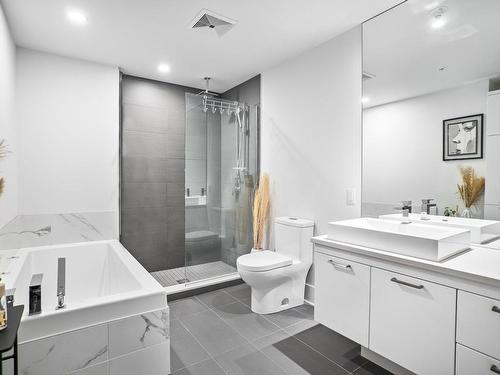 Bathroom - 210-365 Rue St-André, Montréal (Ville-Marie), QC - Indoor Photo Showing Bathroom
