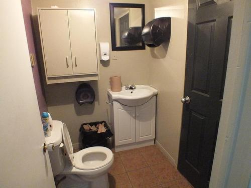 Salle d'eau - 208  - 212 Rue St-Étienne, La Malbaie, QC - Indoor Photo Showing Bathroom