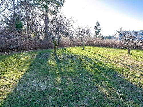 711 9Th Ave, Campbell River, BC - Outdoor With View
