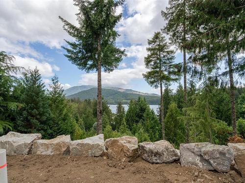 9238 Nighthawk Rd, Lake Cowichan, BC 