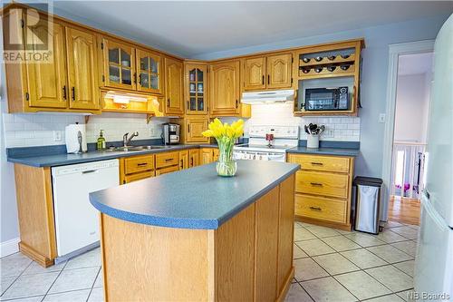 45 Estabrooks Avenue, Lincoln, NB - Indoor Photo Showing Kitchen With Double Sink