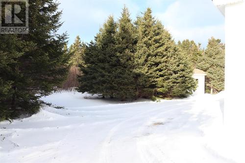 56 Main Road, Three Rock Cove, NL - Outdoor With View