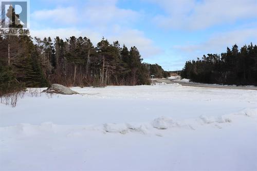 56 Main Road, Three Rock Cove, NL - Outdoor With View