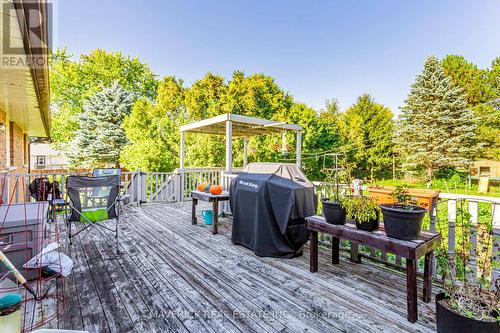 259 Randolph St, Southwest Middlesex, ON - Outdoor With Deck Patio Veranda With Exterior