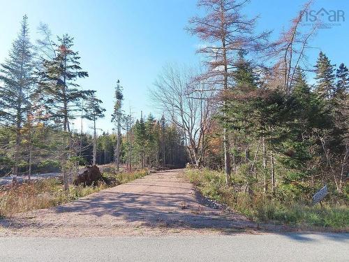 Lot 8 #4 Highway (Lower River Road) Road, Cleveland, NS 