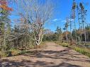 Lot 8 #4 Highway (Lower River Road) Road, Cleveland, NS 