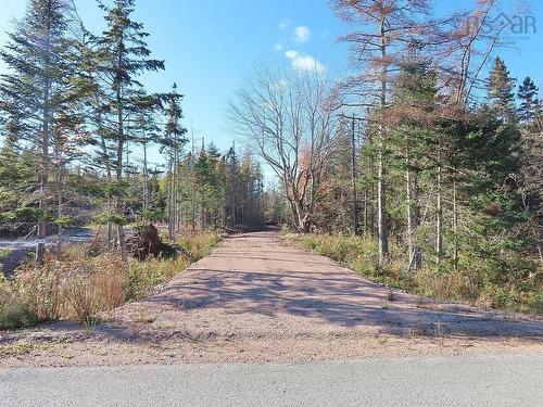 Lot 8 #4 Highway (Lower River Road) Road, Cleveland, NS 