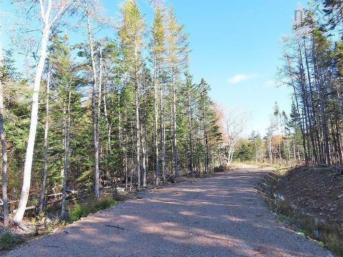 Lot 8 #4 Highway (Lower River Road) Road, Cleveland, NS 