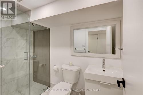 46 Borden Street, Toronto, ON - Indoor Photo Showing Bathroom