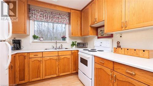 29 Avele Road, South Bruce Peninsula, ON - Indoor Photo Showing Kitchen With Double Sink