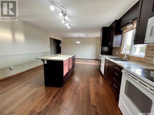 801 Centre Street, Shaunavon, SK - Indoor Photo Showing Kitchen With Double Sink