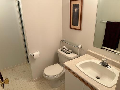 39 - 1220 Mill Street, Nelson, BC - Indoor Photo Showing Bathroom