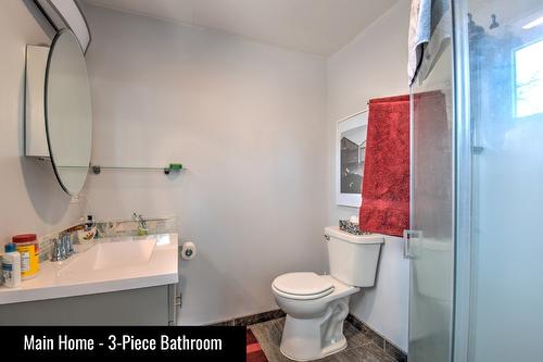 451 Whitevale Road, Lumby, BC - Indoor Photo Showing Bathroom