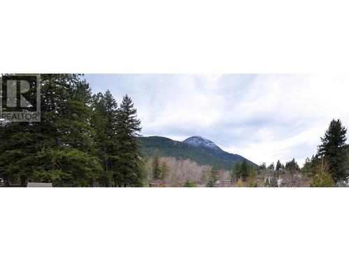 2912 Chase Falkland Road, Falkland, BC - Outdoor With View
