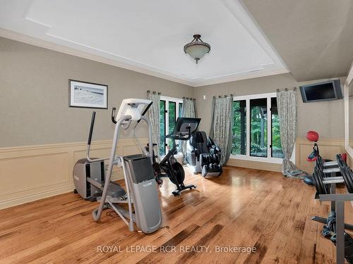 16576 Mount Pleasant Rd, Caledon, ON - Indoor Photo Showing Gym Room