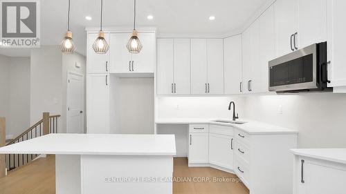 146 Shirley Street, Thames Centre (Thorndale), ON - Indoor Photo Showing Kitchen With Double Sink