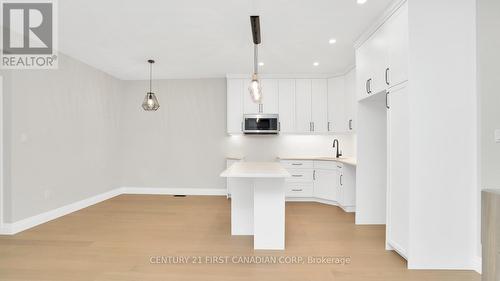 144 Shirley Street, Thames Centre (Thorndale), ON - Indoor Photo Showing Kitchen