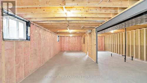 144 Shirley Street, Thames Centre (Thorndale), ON - Indoor Photo Showing Basement