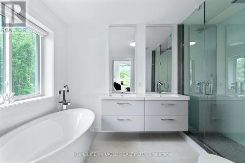 317 Cox Mill Rd, Barrie, ON - Indoor Photo Showing Bathroom