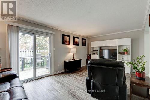 #49 -217 Martinet Ave, London, ON - Indoor Photo Showing Living Room