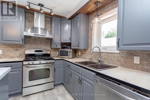 113 Balaclava Street, St. Thomas, ON - Indoor Photo Showing Kitchen With Double Sink