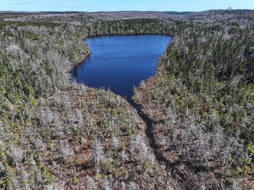 Lot 3 Old Road Hill, Sherbrooke, NS 