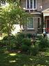Perennials throughout the yard - 536 St Lawrence Street, Winchester, ON  - Outdoor 
