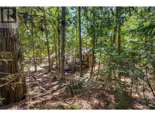 661 Park Road, Enderby, BC - Outdoor