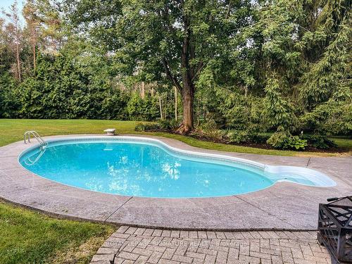 21 Forest Dr, Collingwood, ON - Outdoor With In Ground Pool With Deck Patio Veranda With Backyard