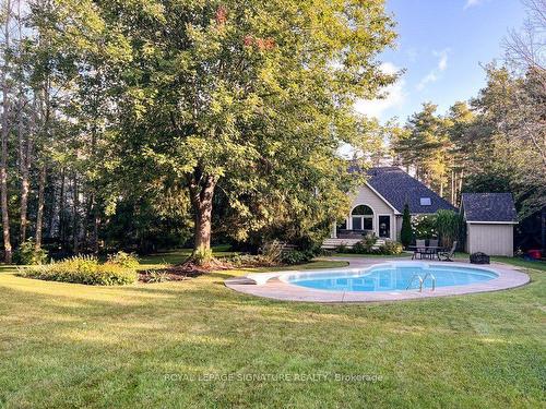 21 Forest Dr, Collingwood, ON - Outdoor With In Ground Pool With Backyard