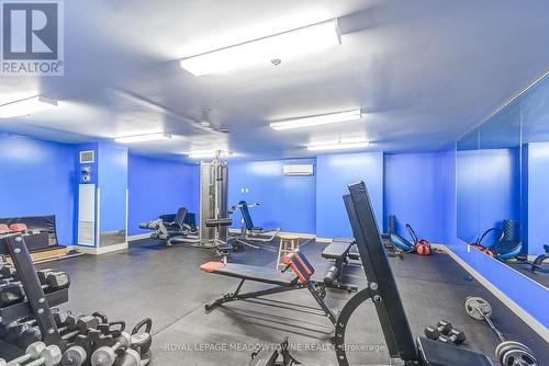 #L L08 -816 Lansdowne Ave, Toronto, ON - Indoor Photo Showing Gym Room