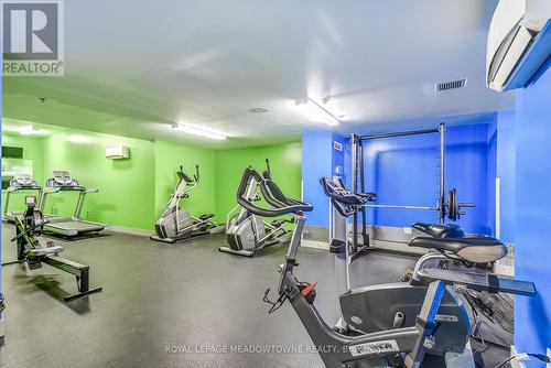 #L L08 -816 Lansdowne Ave, Toronto, ON - Indoor Photo Showing Gym Room