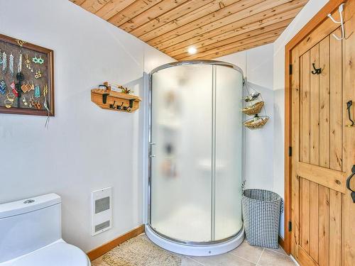 Salle de bains - 1501 Rue Merette, Val-David, QC - Indoor Photo Showing Bathroom
