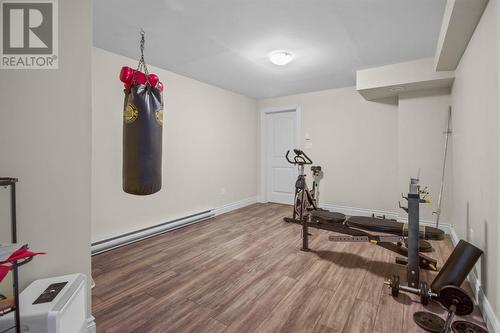 18 White Ash Drive, Portugal Cove St. Philips, NL - Indoor Photo Showing Gym Room