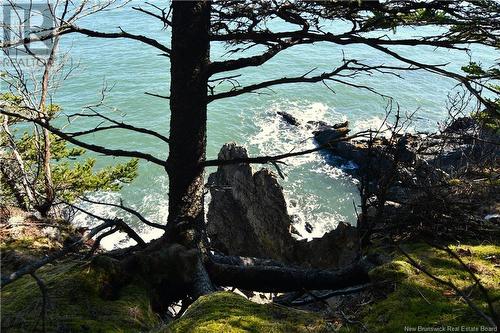 - Fundy Drive, Wilsons Beach, NB 