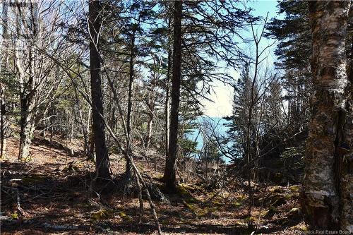 - Fundy Drive, Wilsons Beach, NB 