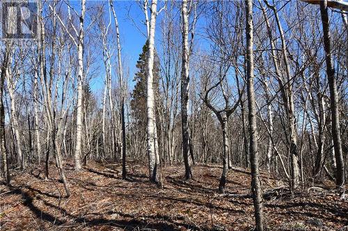 - Fundy Drive, Wilsons Beach, NB 