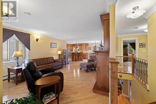 4 O'Rourke'S Road, Holyrood, NL - Indoor Photo Showing Living Room