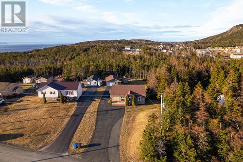 4 O'Rourke'S Road, Holyrood, NL - Outdoor With View