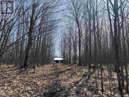 Lot 12 Off 10Th Side Rd, Jocelyn Township, ON - Outdoor With View