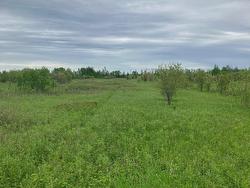 Land/Lot - 