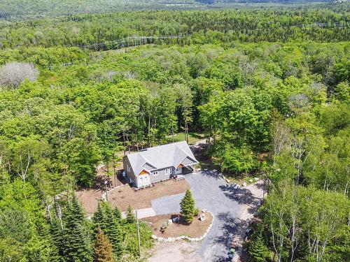 Vue d'ensemble - 260 Ch. Girouard, Rivière-Rouge, QC - Outdoor With View